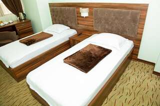 Отель Hotel Grand Зугдиди Двухместный номер с 2 отдельными кроватями-1